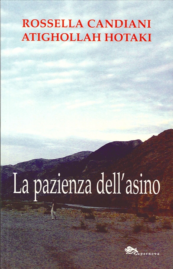 La pazienza dell'asino La pazienza dell'asino