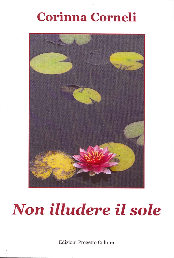 Non illudere il sole Non illudere il sole