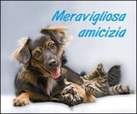 Meravigliosa amicizia