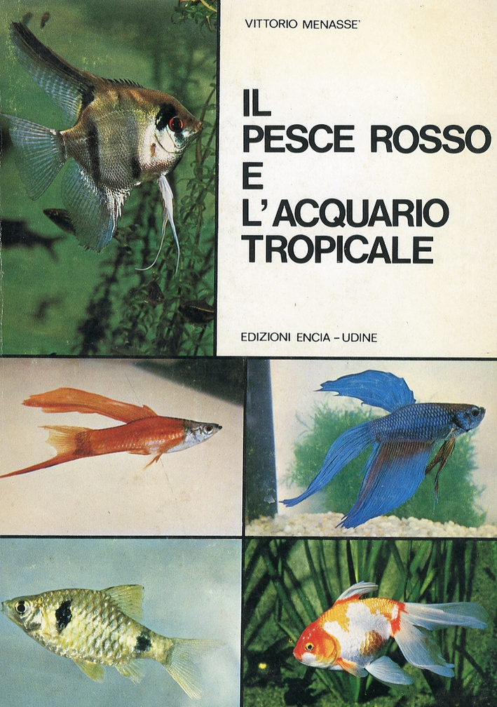 Il Pesce Rosso e l'Acquario Tropicale Il Pesce Rosso e l'Acquario Tropicale
