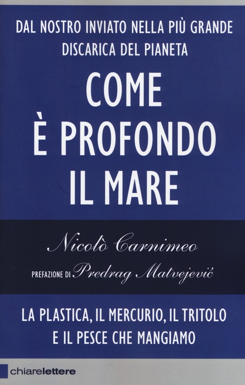 Come è profondo il mare. La plastica, il mercurio, il tritolo e il pesce che mangiamo Come è profondo il mare. La plastica, il mercurio, il tritolo e il pesce che mangiamo