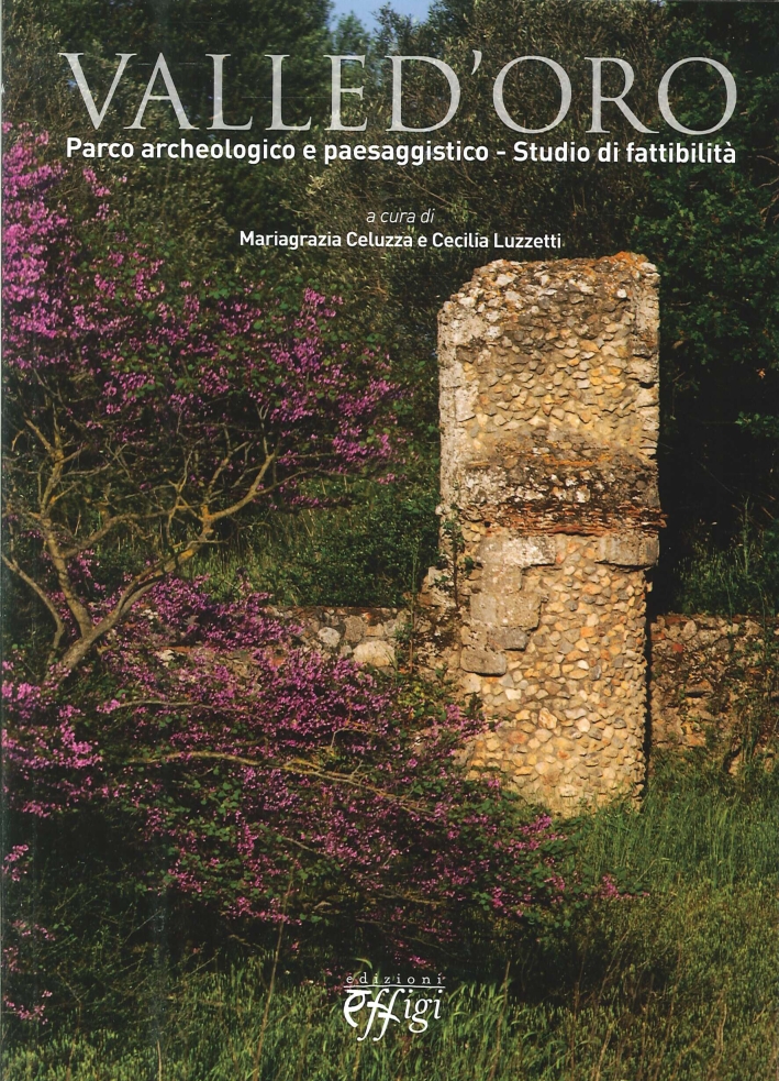 Valle D'Oro. Parco Archeologico E Paesaggistico. Studio Di Fattibilità Valle D'Oro. Parco Archeologico E Paesaggistico. Studio Di Fattibilità
