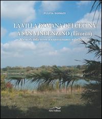 La villa romana dei Cecina a San Vincenzino (Livorno). Materiali della scavo e aggiornmenti sulle ricerche La villa romana dei Cecina a San Vincenzino (Livorno). Materiali della scavo e aggiornmenti sulle ricerche