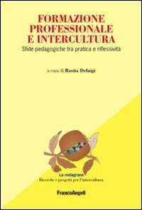 Formazione professionale e intercultura. Sfide pedagogiche tra pratica e riflessività Formazione professionale e intercultura. Sfide pedagogiche tra pratica e riflessività