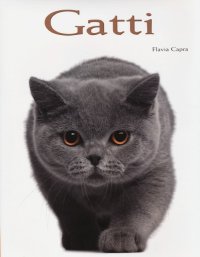 Gatti