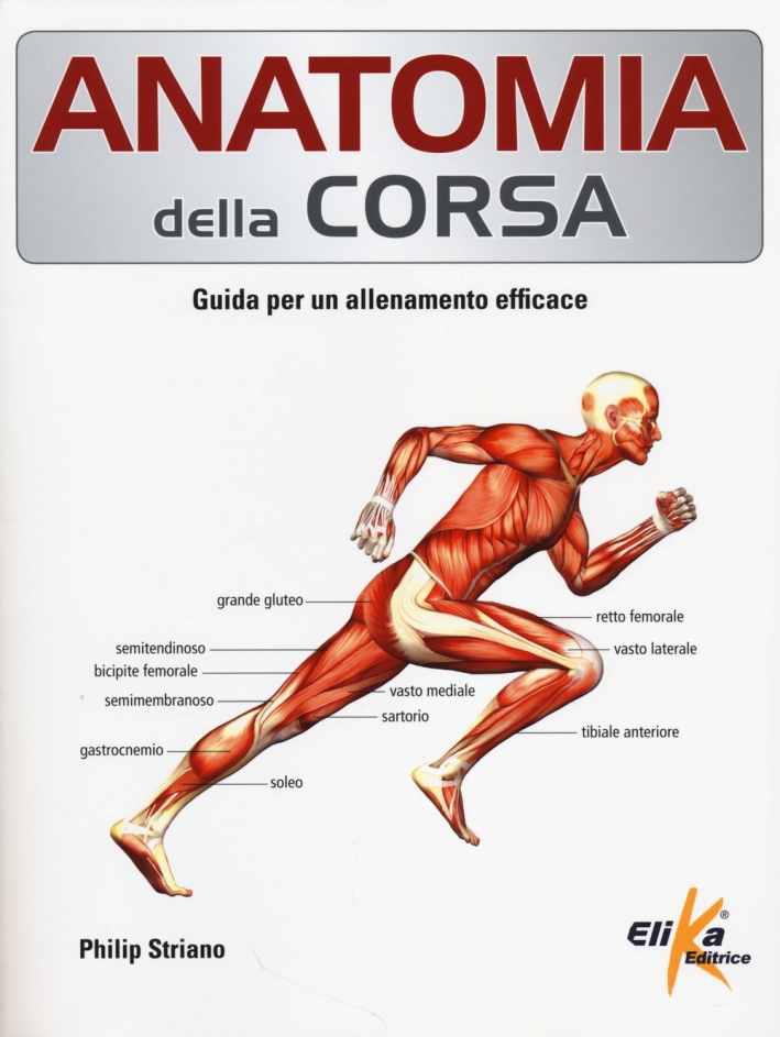 Anatomia della corsa. Guida per un alenamento efficace Anatomia della corsa. Guida per un alenamento efficace