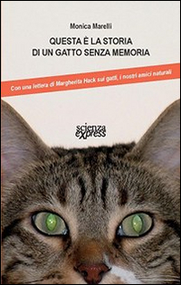 Questa è la storia di un gatto senza memoria. Questa è la storia di un gatto senza memoria.