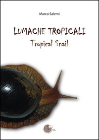 Lumache Tropicali. Tropical Smail Lumache Tropicali. Tropical Smail