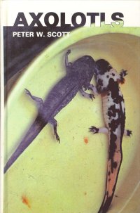 Axolotls