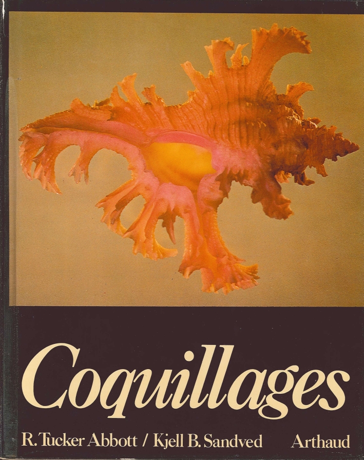 Coquillages Coquillages