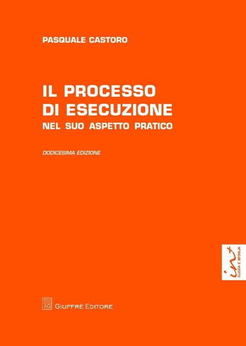 Il processo di esecuzione. Nel suo aspetto pratico Il processo di esecuzione. Nel suo aspetto pratico