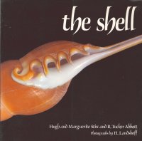 The Shell