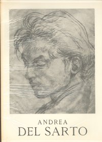 Andrea del Sarto