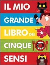 Il mio grande libro dei cinque sensi. Ediz. illustrata Il mio grande libro dei cinque sensi. Ediz. illustrata