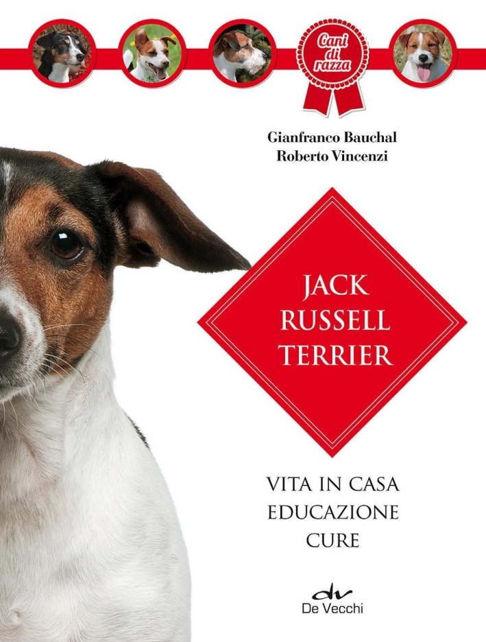 Jack Russel terrier. Vita in casa, educazione, cure Jack Russel terrier. Vita in casa, educazione, cure