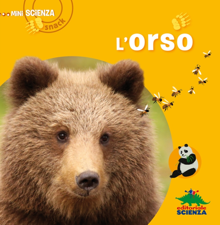 L'orso L'orso
