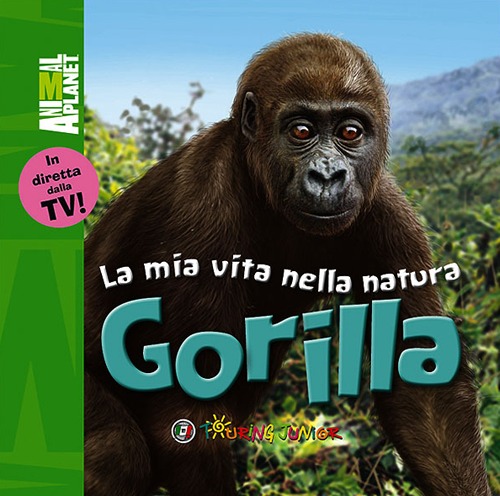 Gorilla Gorilla