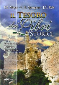 Il tesoro dei libri storici. Meditazioni bibliche quotidiane