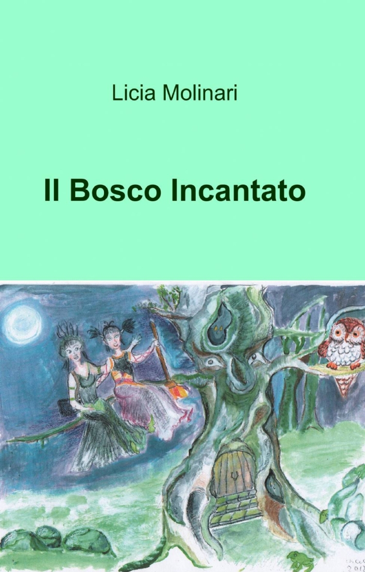 Il bosco incantato Il bosco incantato