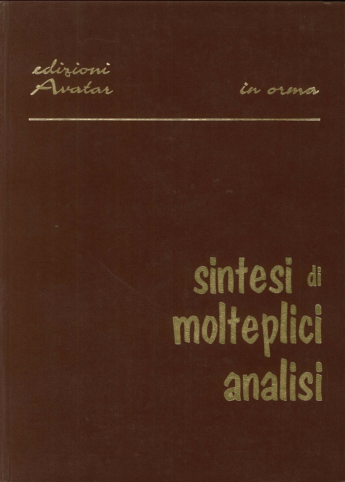 Sintesi di Molteplici Analisi Sintesi di Molteplici Analisi