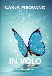 In volo