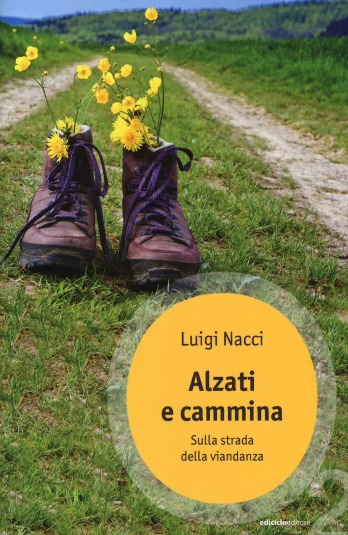 Alzati e cammina. Sulla strada della viandanza Alzati e cammina. Sulla strada della viandanza