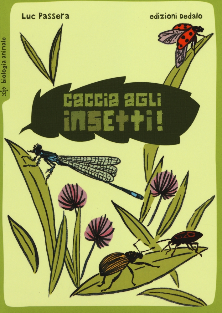 Caccia agli insetti! Caccia agli insetti!