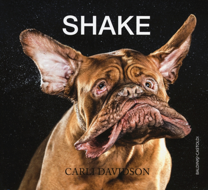 Shake. Ediz. illustrata Shake. Ediz. illustrata