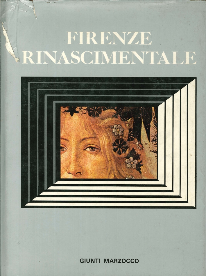 Firenze Rinascimentale Firenze Rinascimentale