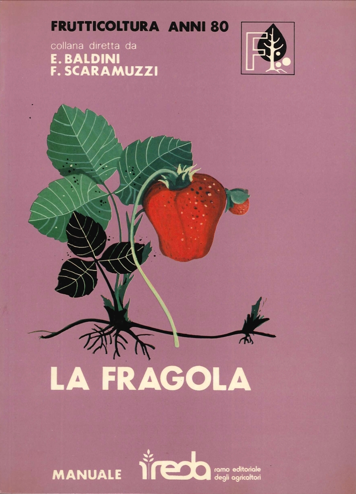 La Fragola La Fragola