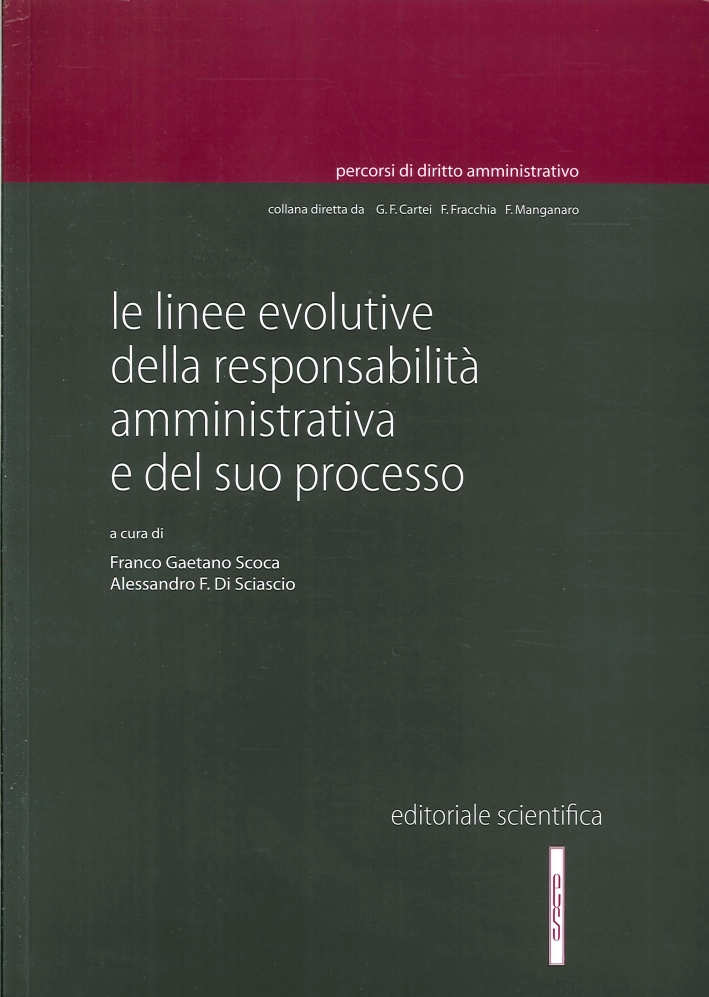 Le Linee Evolutive delle Responsablità Amministrativa e del Suo Processo Le Linee Evolutive delle Responsablità Amministrativa e del Suo Processo