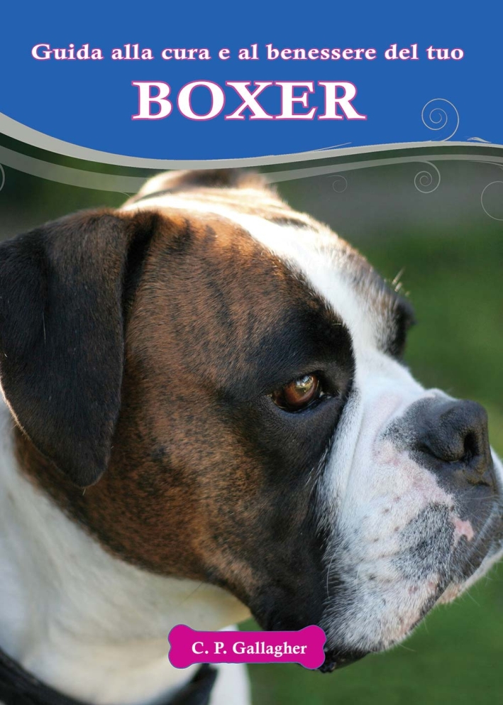 Boxer Boxer