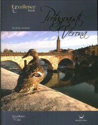 Protagonisti a Verona. Trentatrè Storie Veronesi