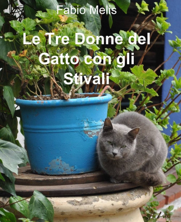 Le tre donne del gatto con gli stivali Le tre donne del gatto con gli stivali