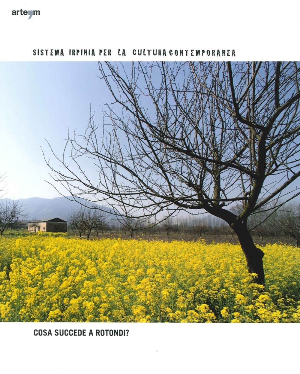Sistema Irpinia per la Cultura Contemporanea. Cosa Succede a Rotondi? la Valle Caudina Come Punto Magnetico dell'Arte Contemporanea in Campania Sistema Irpinia per la Cultura Contemporanea. Cosa Succede a Rotondi? la Valle Caudina Come Punto Magnetico dell'Arte Contemporanea in Campania