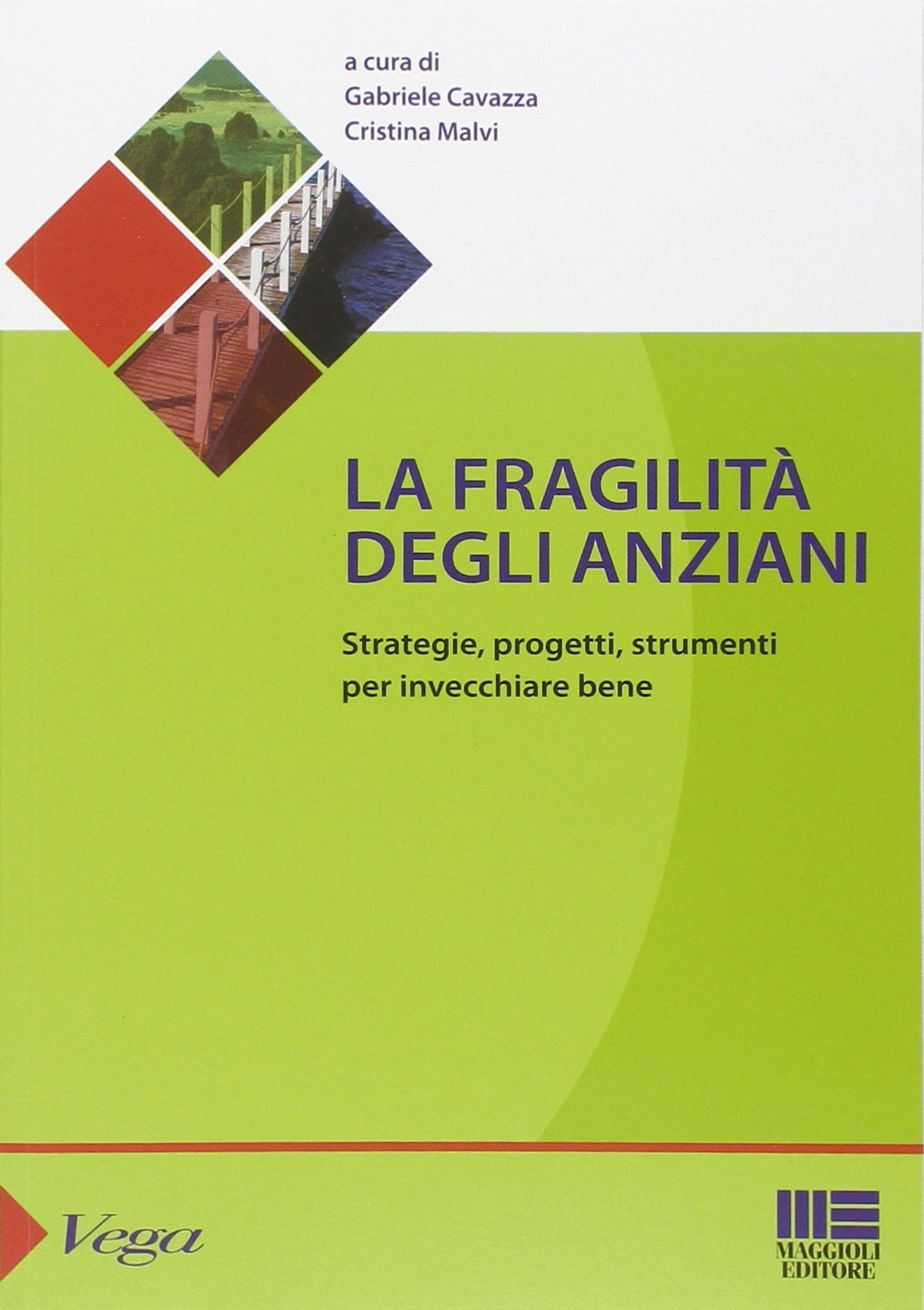La fragilità degli anziani. Strategie, progetti, strumenti per invecchiare bene La fragilità degli anziani. Strategie, progetti, strumenti per invecchiare bene