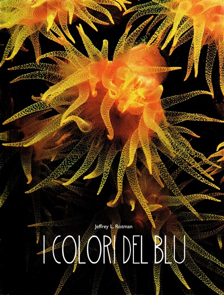 I colori del blu. Ediz. illustrata I colori del blu. Ediz. illustrata