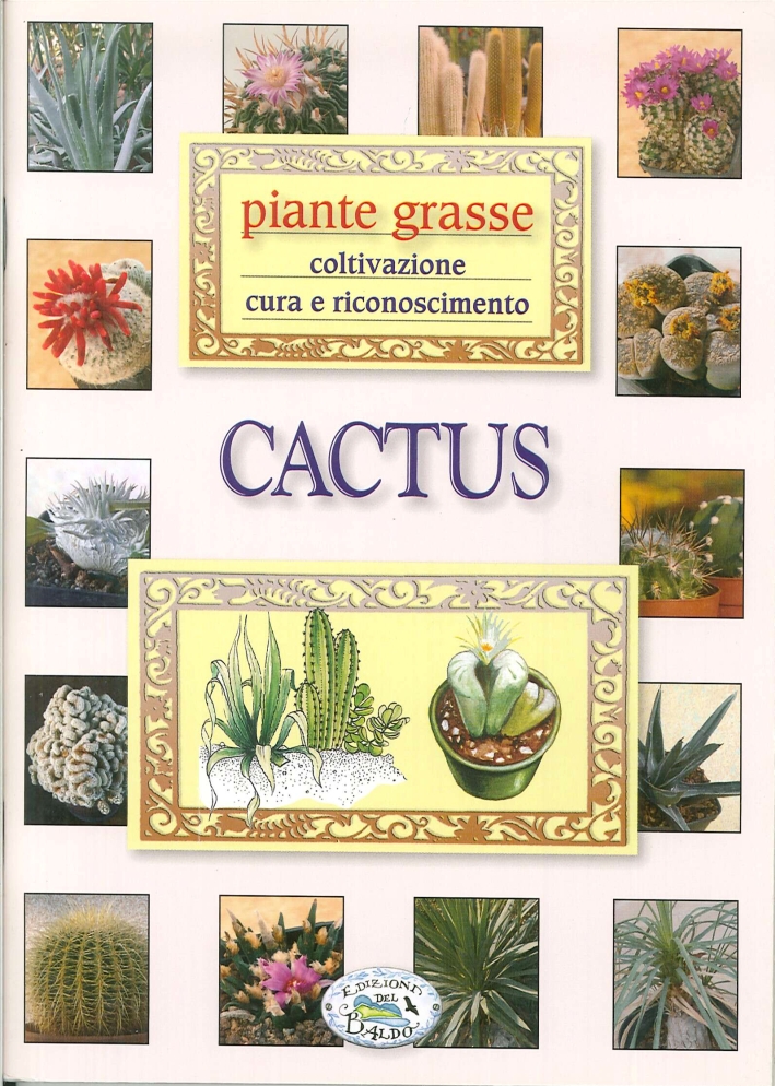 Cactus. Piante grasse Cactus. Piante grasse