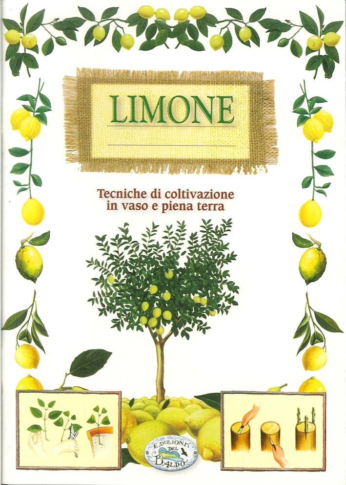 Limone. Limone.