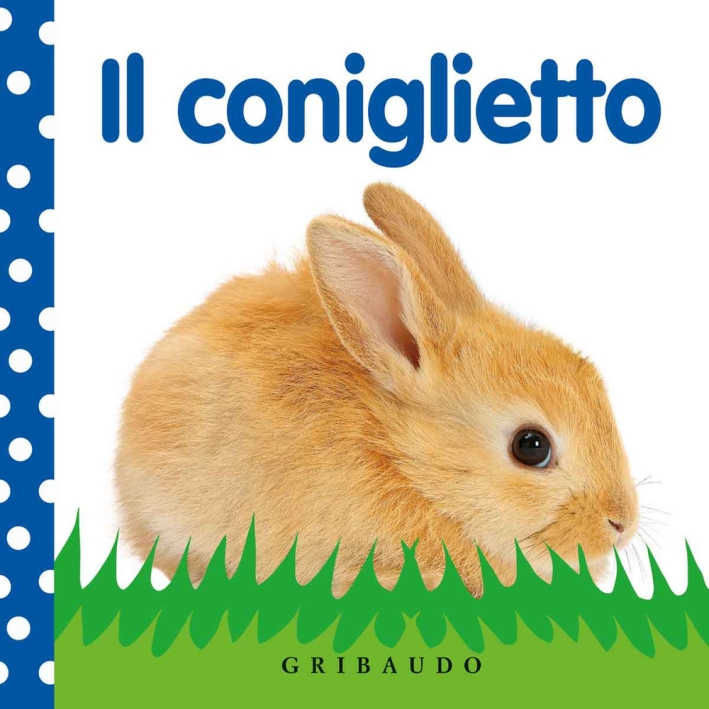 Il coniglietto. Ediz. illustrata Il coniglietto. Ediz. illustrata
