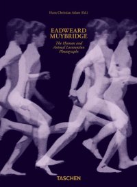 Eadweard Muybridge. The human and animal locomotion photographs