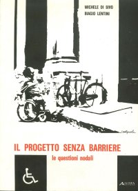 Il progetto senza barriere. Le questioni nodali