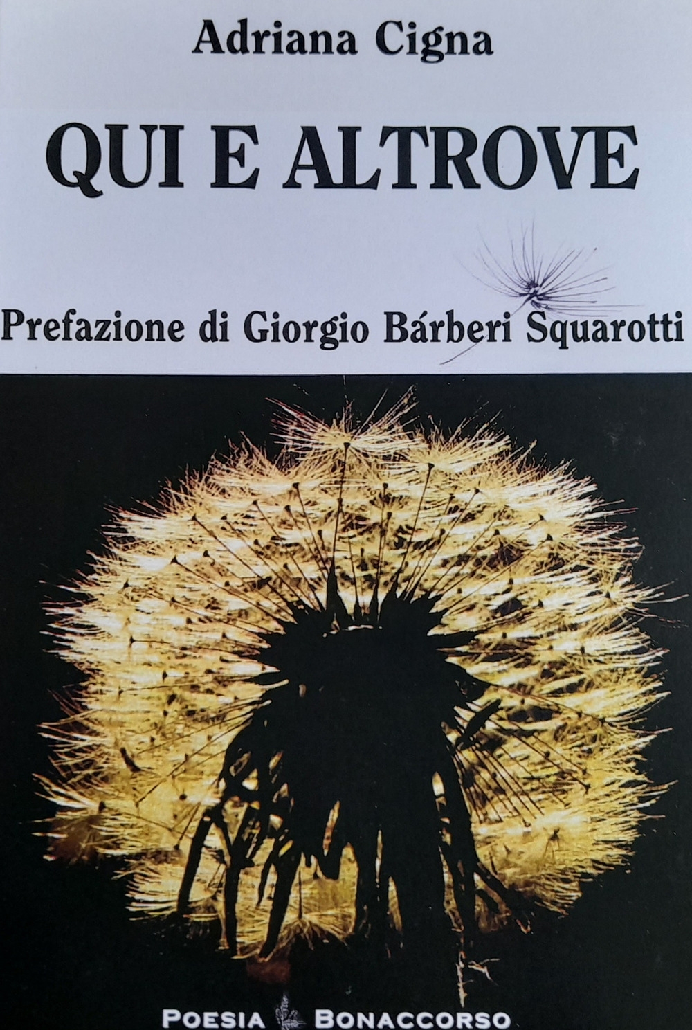 Qui e altrove Qui e altrove