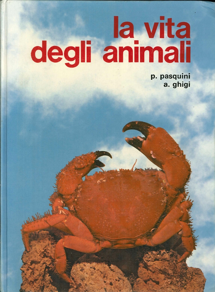 La Vita degli Animali. 1. La Vita nel Mare. Vol.2. Mammiferi Continentali - Avifauna Paleartica. Vol.3. Avifaune Extrapaleartiche - Diffusione e Distribuzione degli Animali sulla terra e nelle acque continentali. Vol.4. Costumi e Comportamento degli Anima