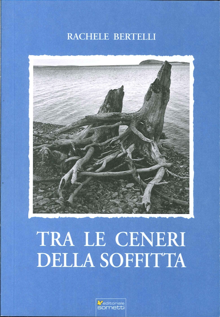 Tra le ceneri della soffitta Tra le ceneri della soffitta