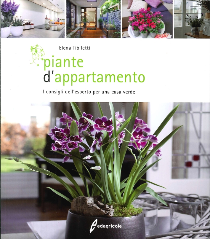 Piante d'Appartamento. I consigli dell'esperto per una casa verde Piante d'Appartamento. I consigli dell'esperto per una casa verde