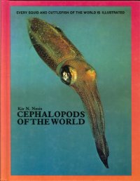 Cephalopods of the World. Squids, Cuttlefishes, Octopuses, and Allies