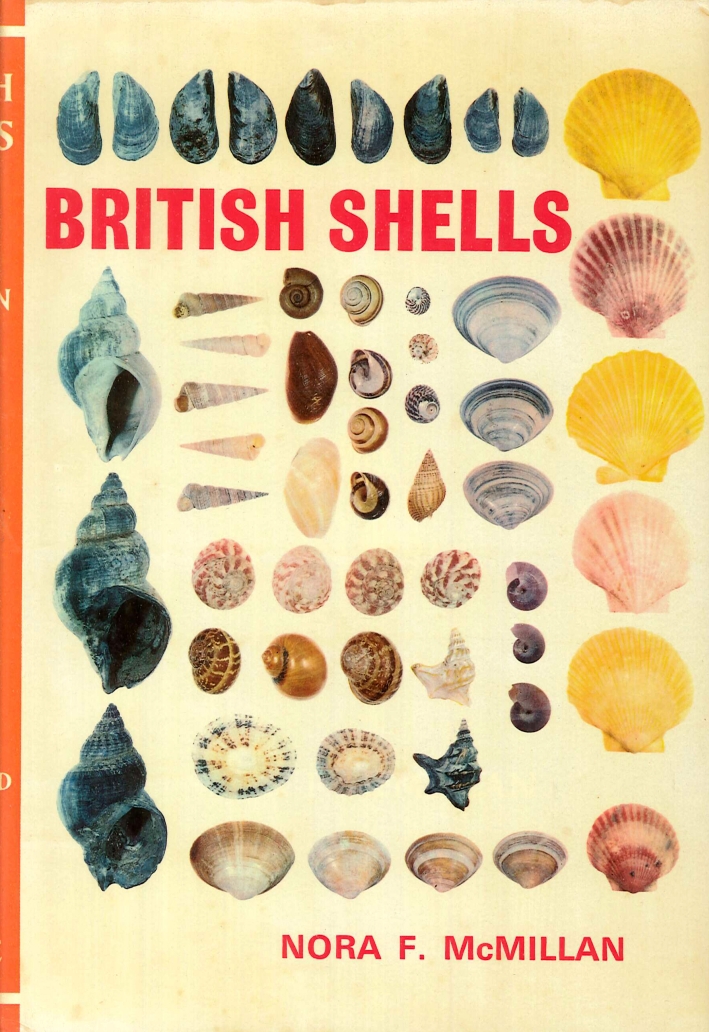 British Shells British Shells