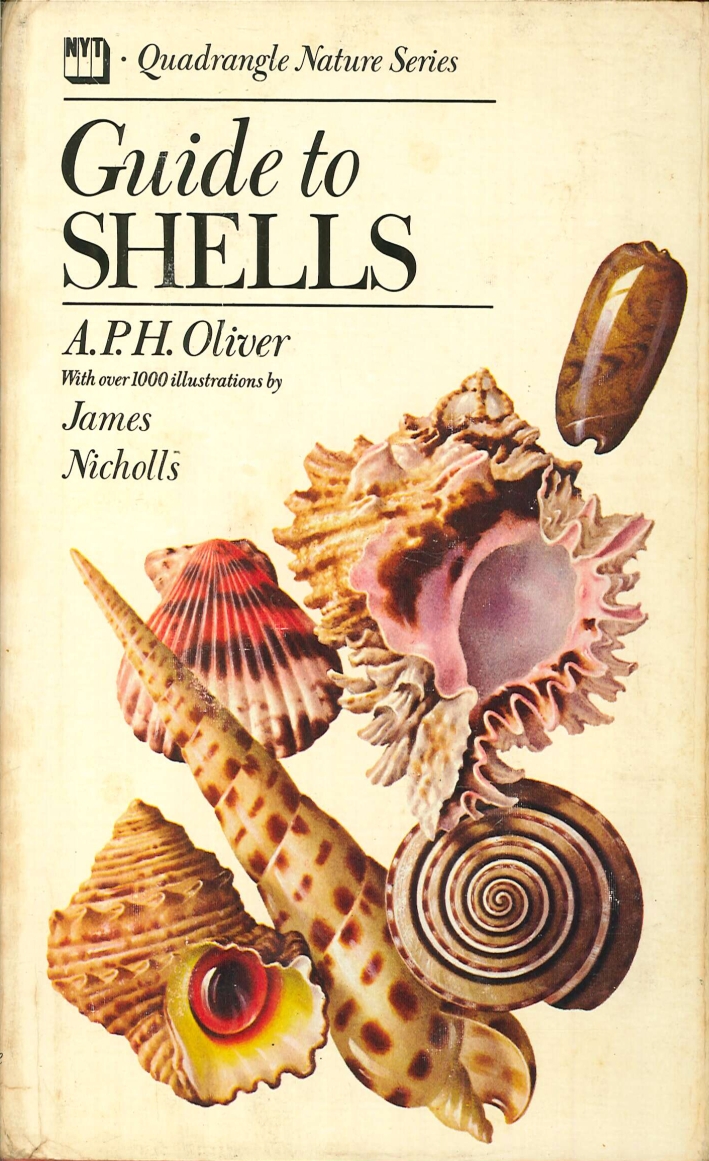 Guide To Shells Guide To Shells
