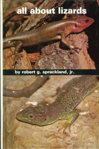 All About Lizards